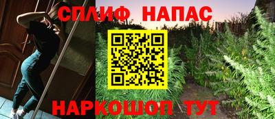 сатива Комсомольск-на-Амуре
