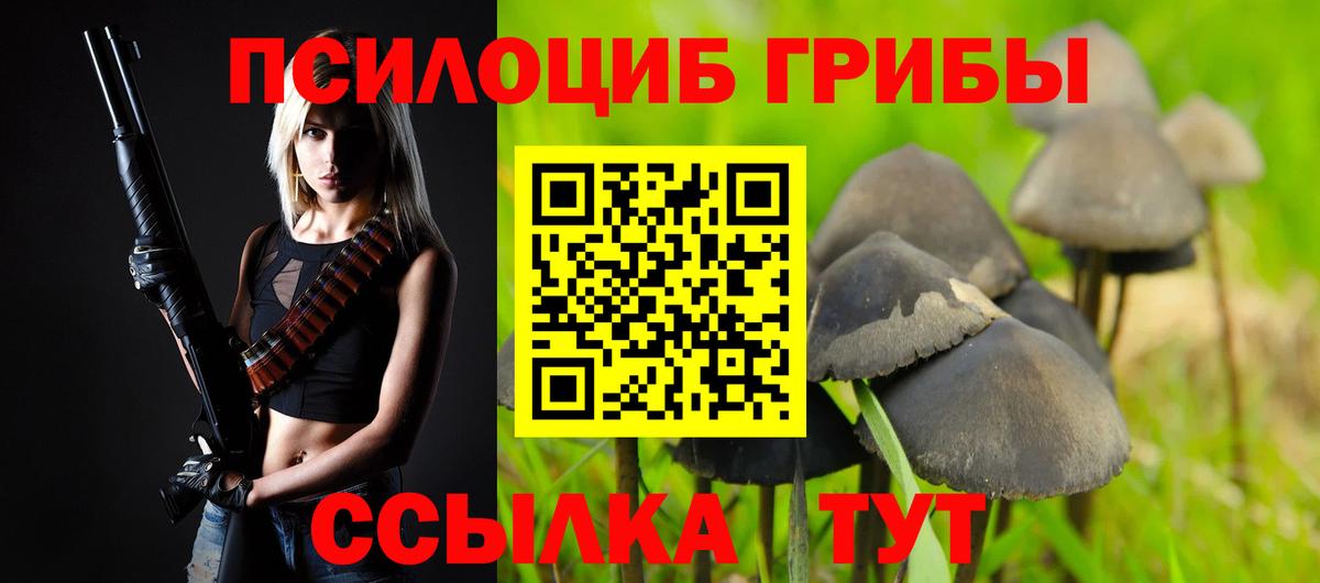 продажа наркотиков  Вход с VPN  Кашира  Галлюциногенные грибы Cubensis 